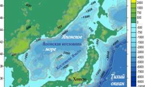 Японское море рельеф дна кратко