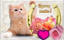 Море удачи во всех начинаниях