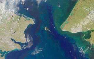 Моря заливы проливы северного ледовитого океана список