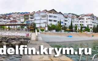 Алушта отдых у моря дельфин